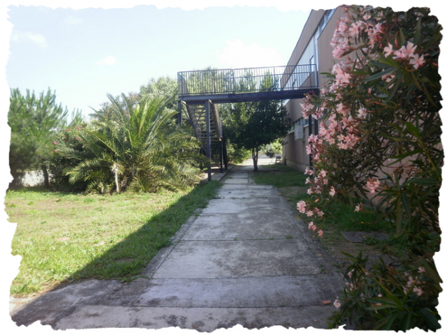 fs_p001_0_11
